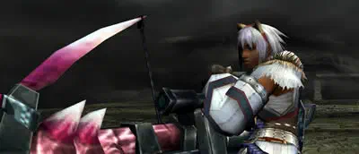 Monster Hunter Frontier g?